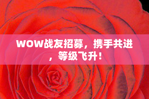 WOW战友招募,携手共进,等级飞升! WOW战友招募,携手共进,等级飞升!