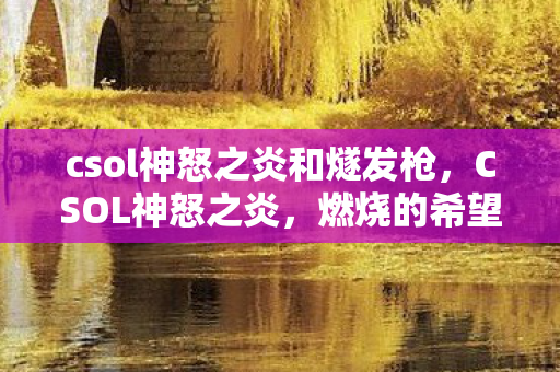 csol神怒之炎和燧发枪,CSOL神怒之炎,燃烧的希望与未来 csol神怒之炎和燧发枪,CSOL神怒之炎,燃烧的希望与未来