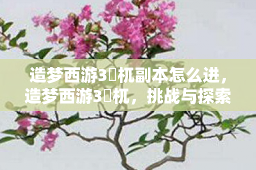 造梦西游3梼杌副本怎么进,造梦西游3梼杌,挑战与探索的奇幻之旅 造梦西游3梼杌副本怎么进,造梦西游3梼杌,挑战与探索的奇幻之旅