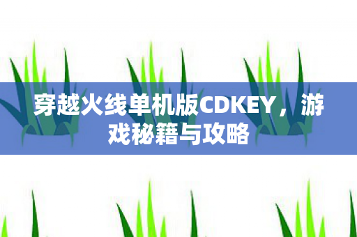 穿越火线单机版CDKEY，游戏秘籍与攻略