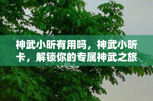 神武小昕有用吗,神武小昕卡,解锁你的专属神武之旅 神武小昕有用吗,神武小昕卡,解锁你的专属神武之旅