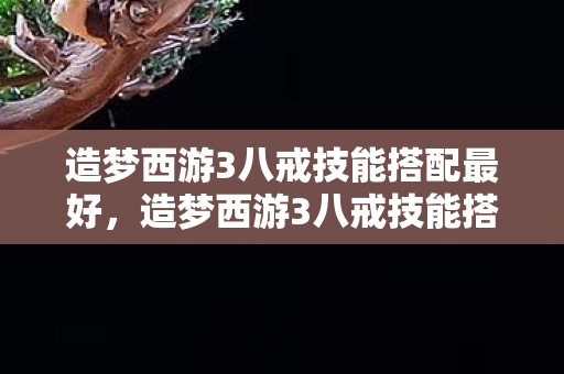 造梦西游3八戒技能搭配最好,造梦西游3八戒技能搭配,打造最强肉盾 造梦西游3八戒技能搭配最好,造梦西游3八戒技能搭配,打造最强肉盾