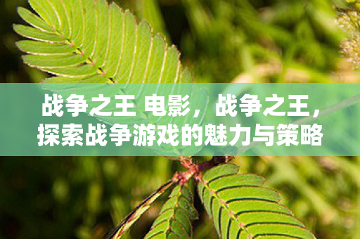 战争之王 电影,战争之王,探索战争游戏的魅力与策略 战争之王 电影,战争之王,探索战争游戏的魅力与策略