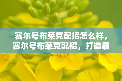 赛尔号布莱克配招怎么样,赛尔号布莱克配招,打造最强战斗阵容 赛尔号布莱克配招怎么样,赛尔号布莱克配招,打造最强战斗阵容