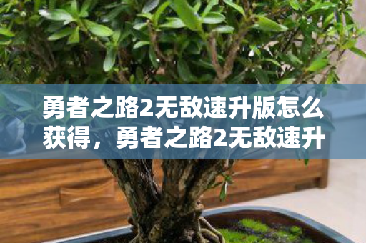 勇者之路2无敌速升版怎么获得，勇者之路2无敌速升版，解锁无限可能的冒险之旅