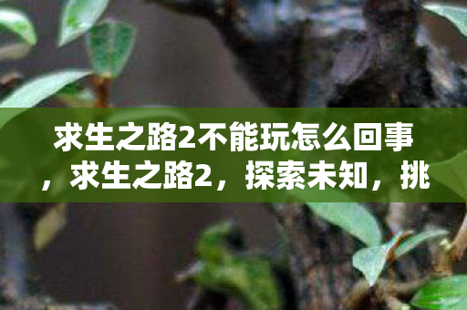求生之路2不能玩怎么回事,求生之路2,探索未知,挑战极限 求生之路2不能玩怎么回事,求生之路2,探索未知,挑战极限
