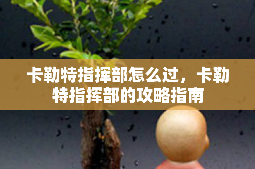 卡勒特指挥部怎么过,卡勒特指挥部的攻略指南 卡勒特指挥部怎么过,卡勒特指挥部的攻略指南