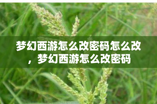 梦幻西游怎么改密码怎么改，梦幻西游怎么改密码