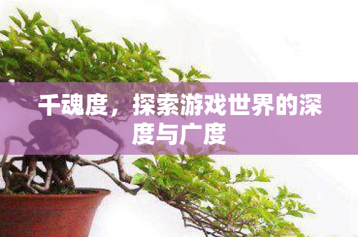 千魂度，探索游戏世界的深度与广度