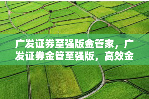广发证券至强版金管家,广发证券金管至强版,高效金融管理的强大工具 广发证券至强版金管家,广发证券金管至强版,高效金融管理的强大工具