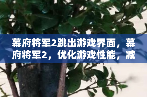 幕府将军2跳出游戏界面,幕府将军2,优化游戏性能,减少跳出问题 幕府将军2跳出游戏界面,幕府将军2,优化游戏性能,减少跳出问题