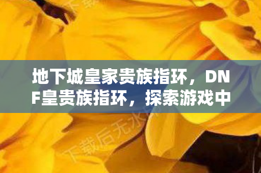 地下城皇家贵族指环,DNF皇贵族指环,探索游戏中的神秘宝藏 地下城皇家贵族指环,DNF皇贵族指环,探索游戏中的神秘宝藏