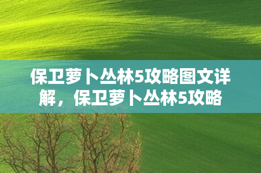 保卫萝卜丛林5攻略图文详解,保卫萝卜丛林5攻略 保卫萝卜丛林5攻略图文详解,保卫萝卜丛林5攻略