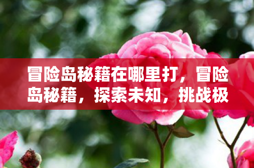 冒险岛秘籍在哪里打，冒险岛秘籍，探索未知，挑战极限