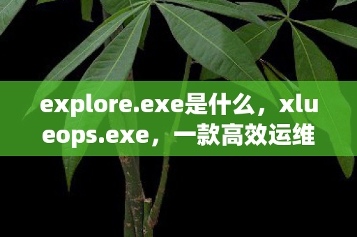 explore.exe是什么，xlueops.exe，一款高效运维工具的背后解析