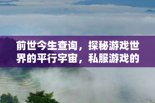 前世今生查询,探秘游戏世界的平行宇宙,私服游戏的兴起与影响 前世今生查询,探秘游戏世界的平行宇宙,私服游戏的兴起与影响