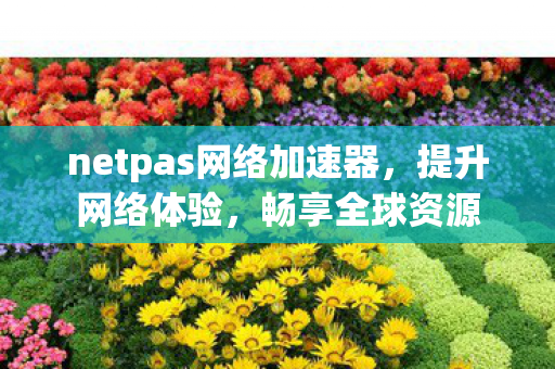 netpas网络加速器,提升网络体验,畅享全球资源 netpas网络加速器,提升网络体验,畅享全球资源