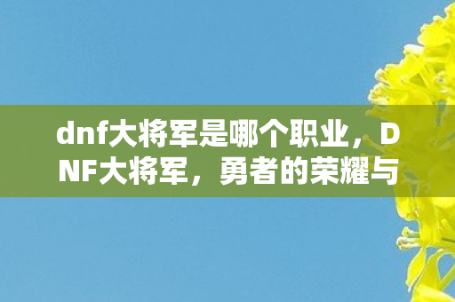 dnf大将军是哪个职业，DNF大将军，勇者的荣耀与责任