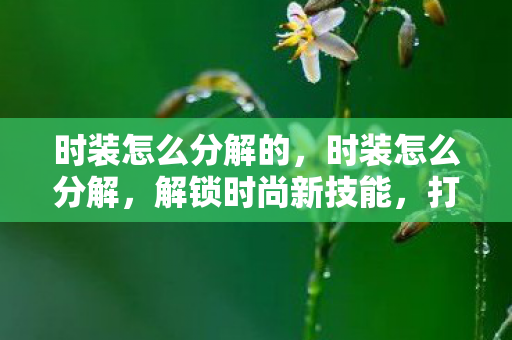 时装怎么分解的，时装怎么分解，解锁时尚新技能，打造个性化穿搭