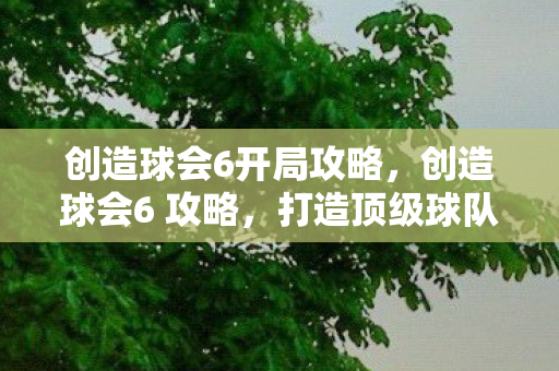 创造球会6开局攻略,创造球会6 攻略,打造顶级球队,称霸绿茵赛场 创造球会6开局攻略,创造球会6 攻略,打造顶级球队,称霸绿茵赛场