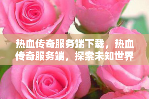 热血传奇服务端下载，热血传奇服务端，探索未知世界的奇妙之旅
