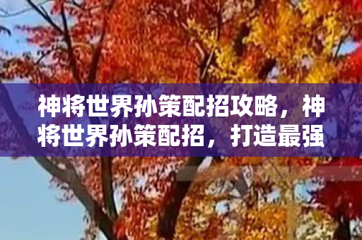 神将世界孙策配招攻略，神将世界孙策配招，打造最强战斗组合