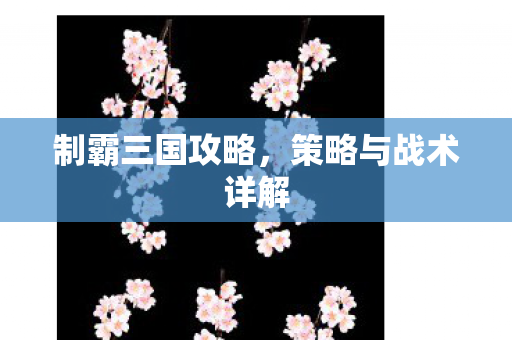 制霸三国攻略,策略与战术详解 制霸三国攻略,策略与战术详解