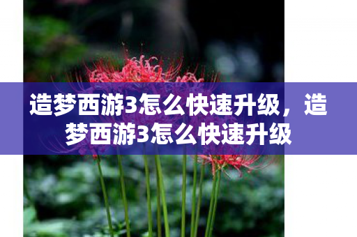 造梦西游3怎么快速升级,造梦西游3怎么快速升级 造梦西游3怎么快速升级,造梦西游3怎么快速升级