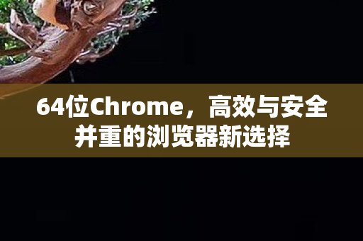 64位Chrome，高效与安全并重的浏览器新选择