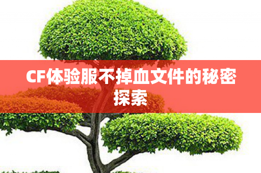 CF体验服不掉血文件的秘密探索 CF体验服不掉血文件的秘密探索