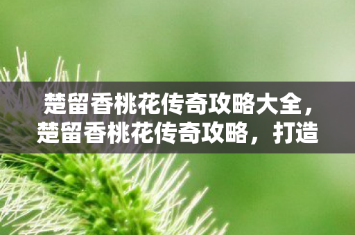楚留香桃花传奇攻略大全,楚留香桃花传奇攻略,打造完美江湖之旅 楚留香桃花传奇攻略大全,楚留香桃花传奇攻略,打造完美江湖之旅
