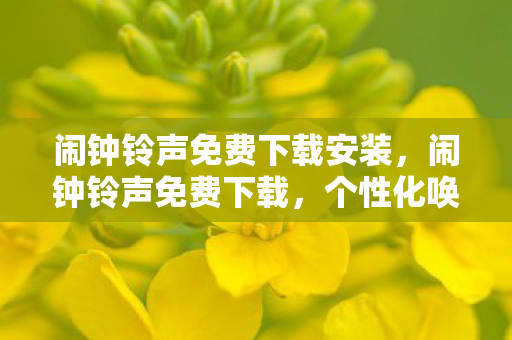 闹钟铃声免费下载安装,闹钟铃声免费下载,个性化唤醒新体验 闹钟铃声免费下载安装,闹钟铃声免费下载,个性化唤醒新体验