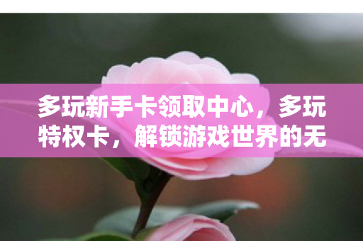 多玩新手卡领取中心,多玩特权卡,解锁游戏世界的无限可能 多玩新手卡领取中心,多玩特权卡,解锁游戏世界的无限可能