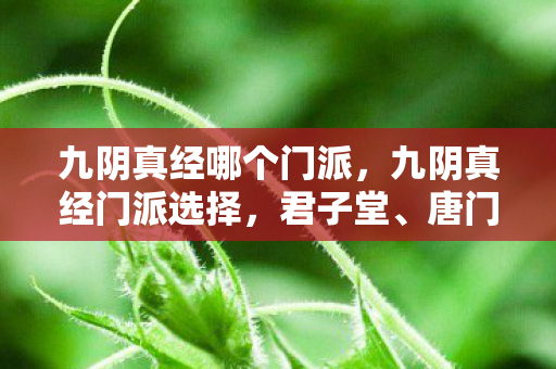 九阴真经哪个门派，九阴真经门派选择，君子堂、唐门、峨眉，谁才是你的江湖首选？