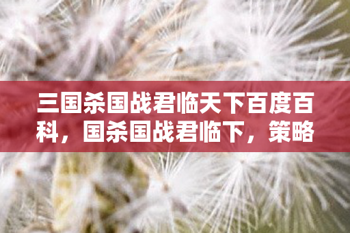 三国杀国战君临天下百度百科，国杀国战君临下，策略与智慧的碰撞
