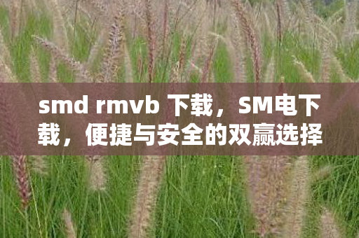 smd rmvb 下载,SM电下载,便捷与安全的双赢选择 smd rmvb 下载,SM电下载,便捷与安全的双赢选择
