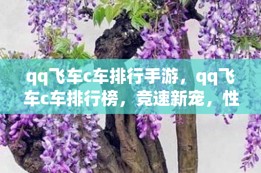 qq飞车c车排行手游，qq飞车c车排行榜，竞速新宠，性能与性价比的双重考量