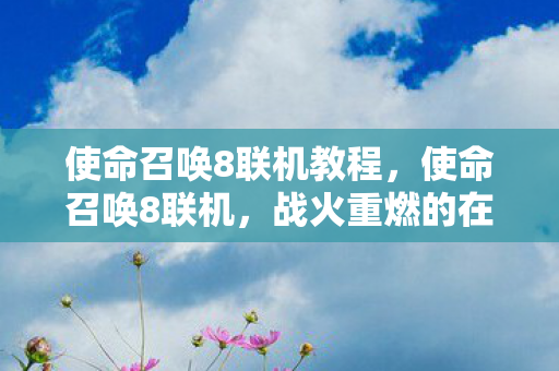 使命召唤8联机教程，使命召唤8联机，战火重燃的在线对战体验