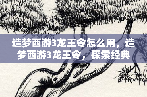 造梦西游3龙王令怎么用，造梦西游3龙王令，探索经典游戏的魅力与传承