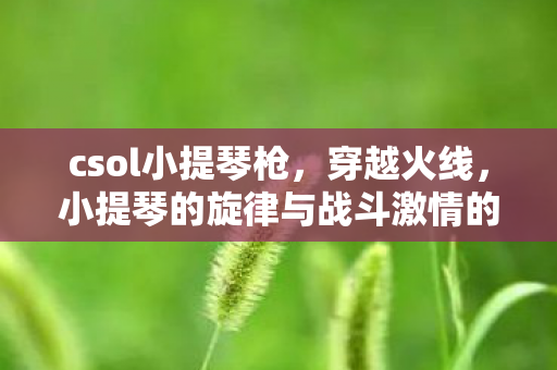 csol小提琴枪,穿越火线,小提琴的旋律与战斗激情的交响曲 csol小提琴枪,穿越火线,小提琴的旋律与战斗激情的交响曲