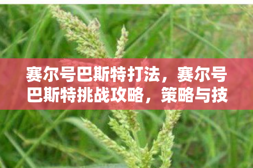 赛尔号巴斯特打法,赛尔号巴斯特挑战攻略,策略与技巧 赛尔号巴斯特打法,赛尔号巴斯特挑战攻略,策略与技巧