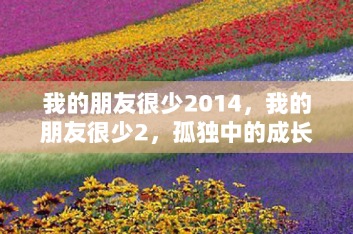 我的朋友很少2014,我的朋友很少2,孤独中的成长与蜕变 我的朋友很少2014,我的朋友很少2,孤独中的成长与蜕变