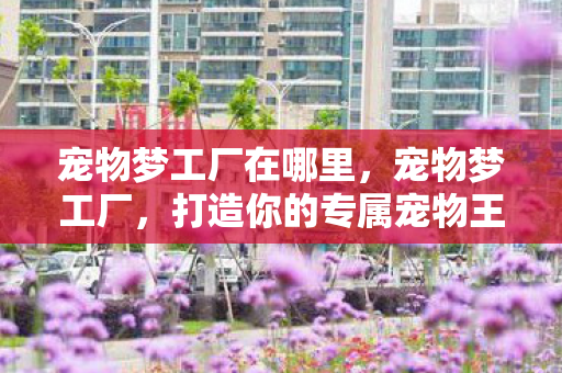 宠物梦工厂在哪里，宠物梦工厂，打造你的专属宠物王国