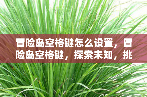 冒险岛空格键怎么设置,冒险岛空格键,探索未知,挑战自我 冒险岛空格键怎么设置,冒险岛空格键,探索未知,挑战自我