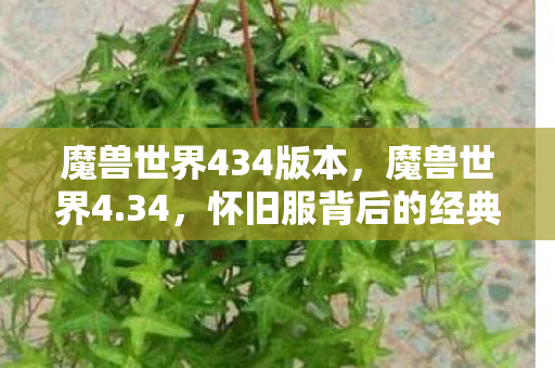 魔兽世界434版本,魔兽世界4.34,怀旧服背后的经典与情怀 魔兽世界434版本,魔兽世界4.34,怀旧服背后的经典与情怀