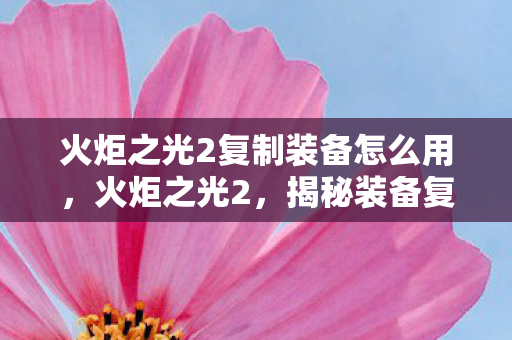火炬之光2复制装备怎么用，火炬之光2，揭秘装备复制技巧，打造无限可能！