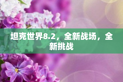 坦克世界8.2,全新战场,全新挑战 坦克世界8.2,全新战场,全新挑战