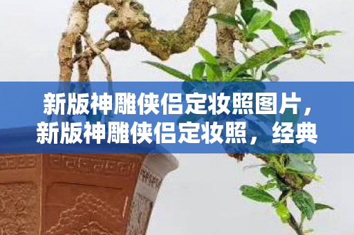 新版神雕侠侣定妆照图片,新版神雕侠侣定妆照,经典再现,重塑武侠之魂 新版神雕侠侣定妆照图片,新版神雕侠侣定妆照,经典再现,重塑武侠之魂
