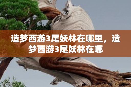 造梦西游3尾妖林在哪里,造梦西游3尾妖林在哪 造梦西游3尾妖林在哪里,造梦西游3尾妖林在哪