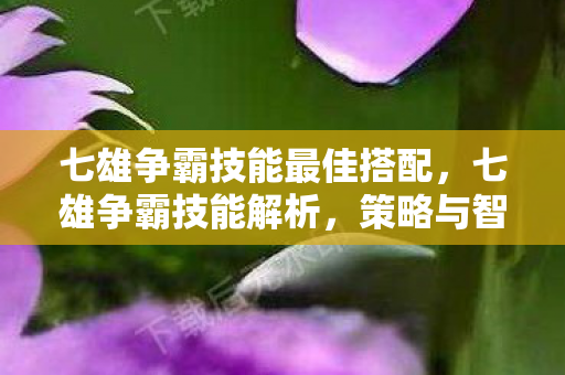 七雄争霸技能最佳搭配，七雄争霸技能解析，策略与智慧的碰撞